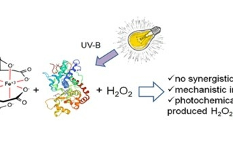 Graphical abstract of the paper Application of Fe(III)–EDDS complexes and soybean peroxidase