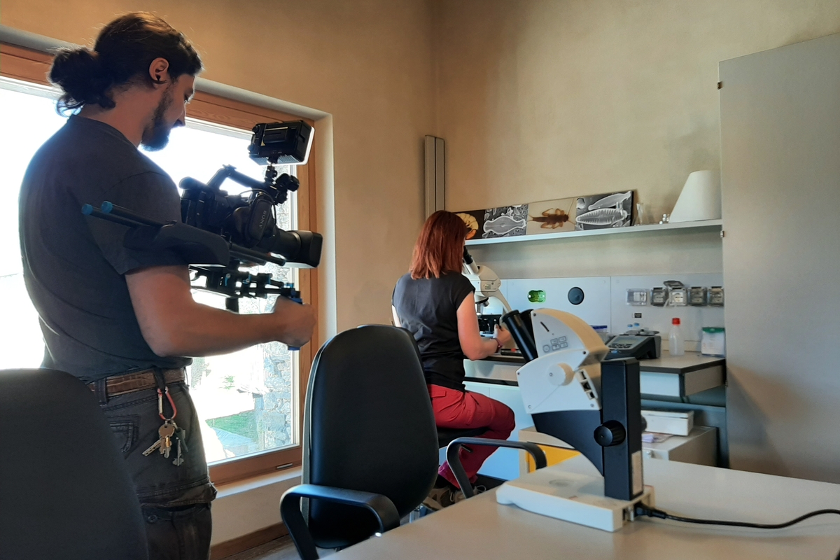 An image of a cameraman filming a researcher from behind while using an optical microscope.