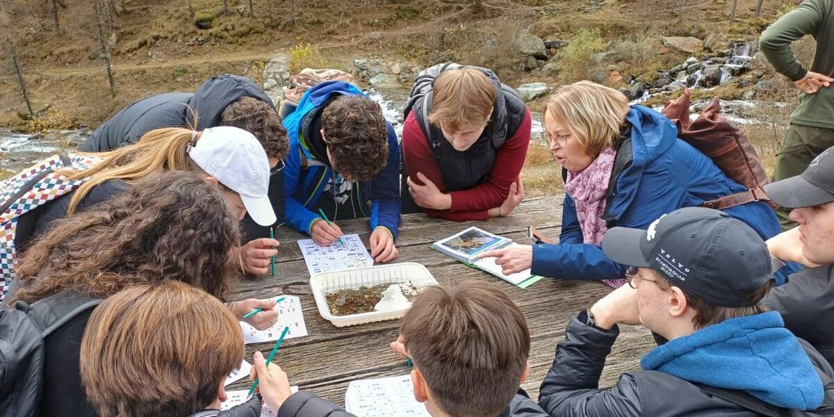 studenti impegnati in un sorting di identificazione di macroinvertebrati bentonici