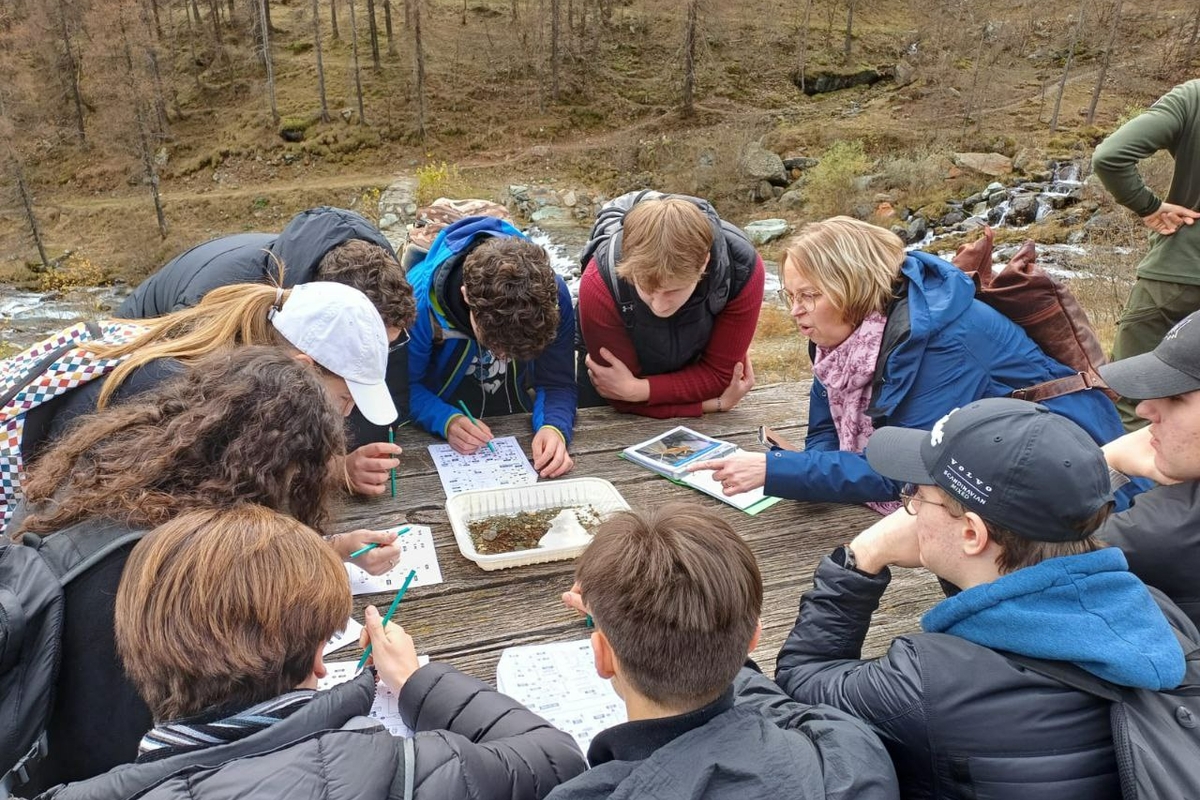 studenti impegnati in un sorting di identificazione di macroinvertebrati bentonici