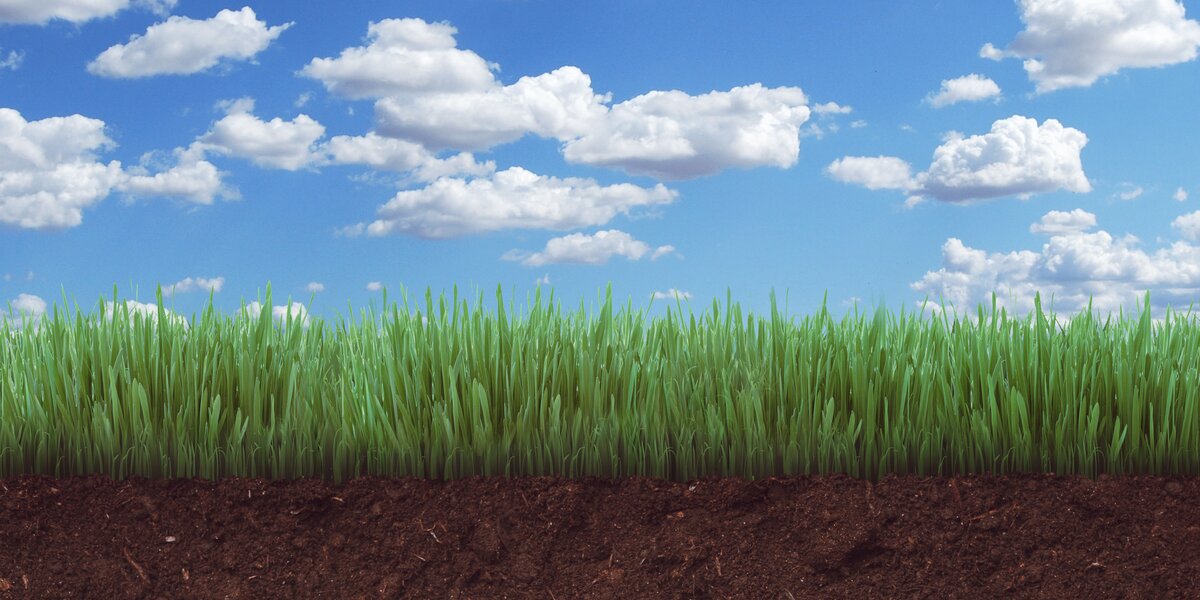 immagine che raffigura una sezione verticale di terreno, in cui si vede il suolo nella parte sottostante, l'erba che vi cresce sopra e il cielo con le nuvole al di sopra di tutto.