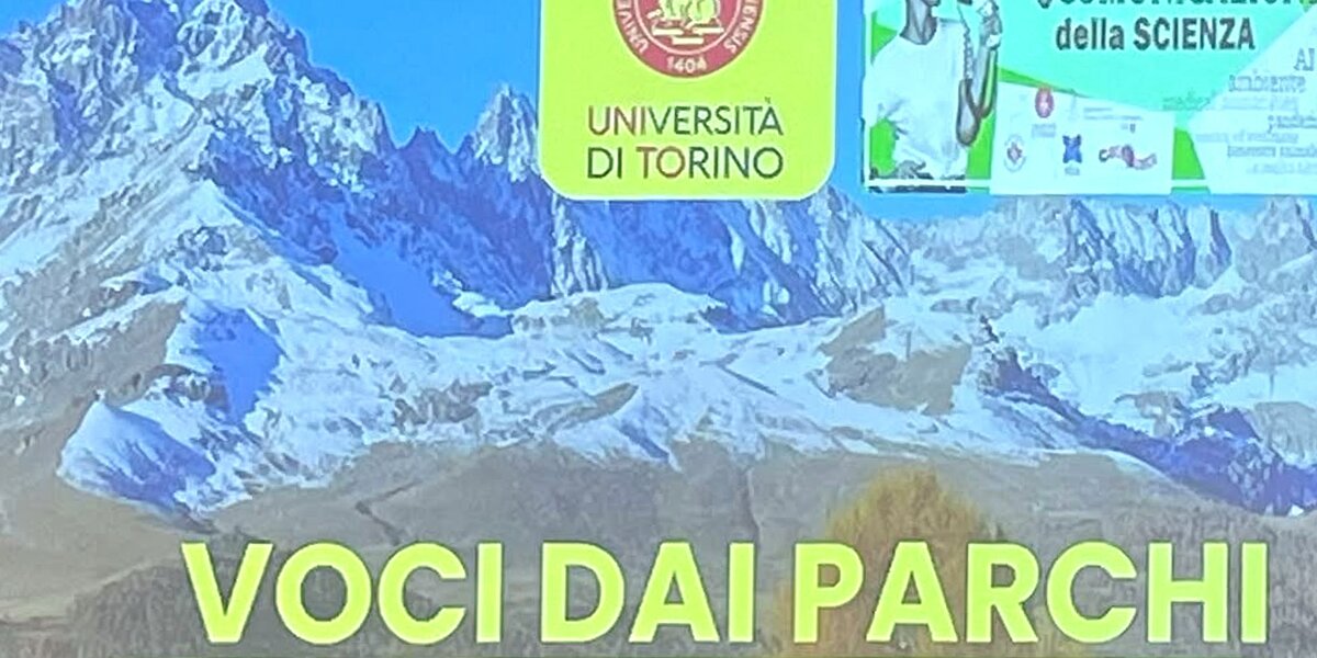 schermata video di un momento della presentazione della tesi, si legge il titolo e si vede il logo dell'Università di Torino.