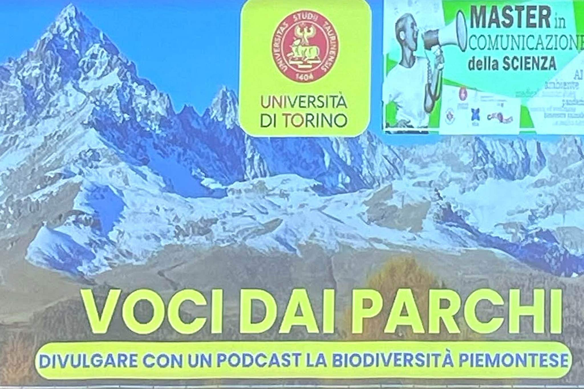 schermata video di un momento della presentazione della tesi, si legge il titolo e si vede il logo dell'Università di Torino.