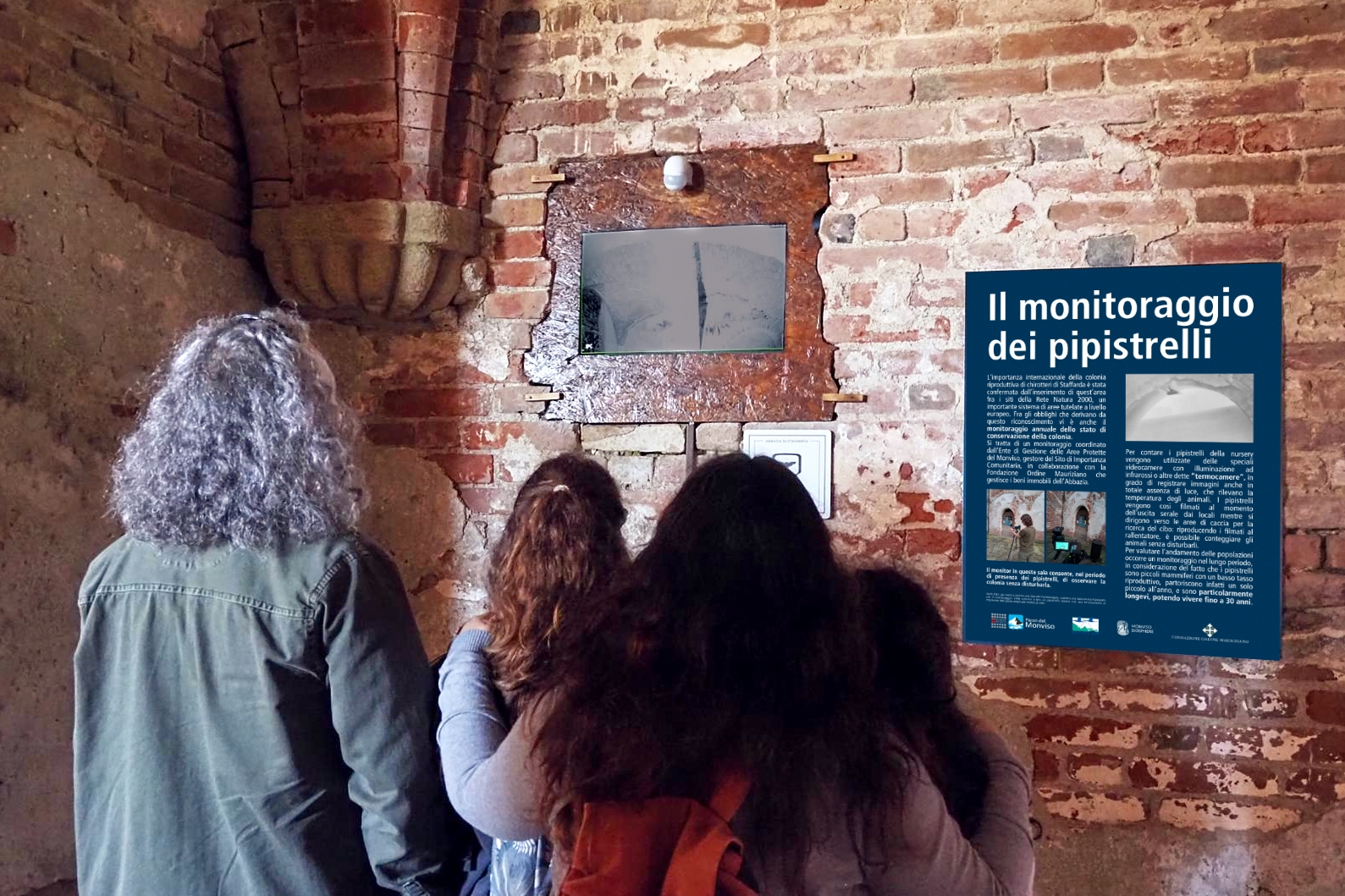 alcune persone di spalle guardano il monitor dove sono trasmesse le immagini dei pipistrelli.