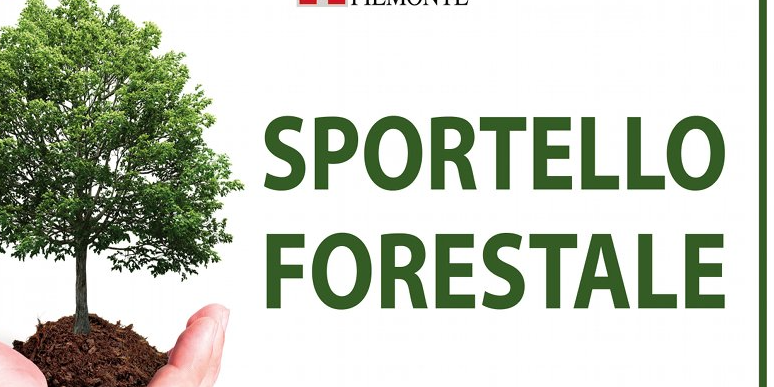 immagine di riferimento dello sportello