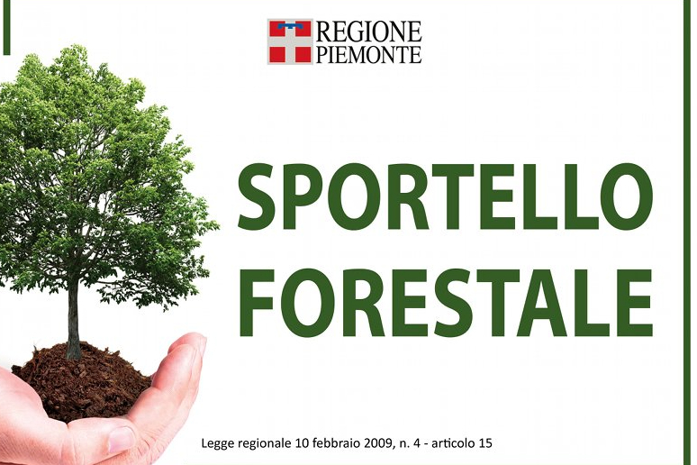 immagine di riferimento dello sportello