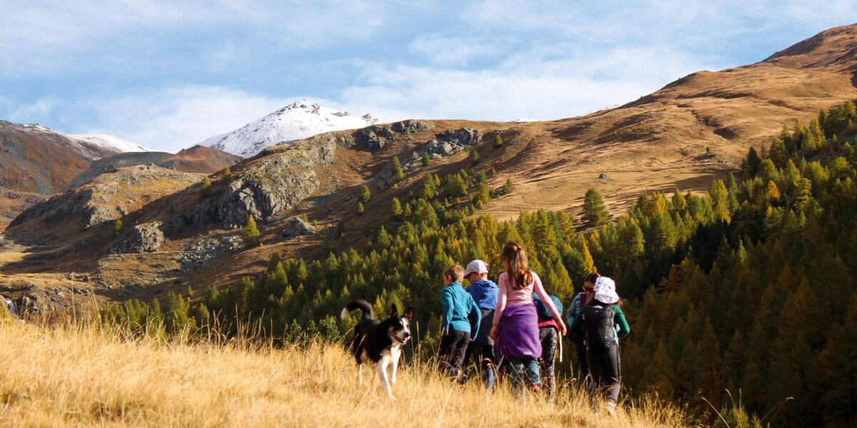 alcune persone e un cane stanno facendo un'escursione in montagna, in un contesto naturale autunnale in cui dominano i toni arancio; sullo sfondo, una vetta innevata. Il cielo è azzurro con notevoli velature di nuvole