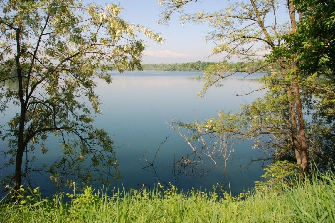 nell'immagine tra due alberi ai lati si vede un lago con vegetazione sullo sfondo