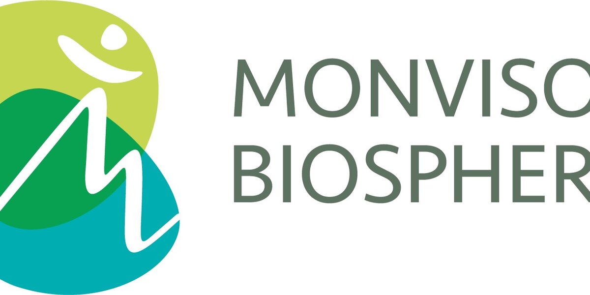 logo ecoattori