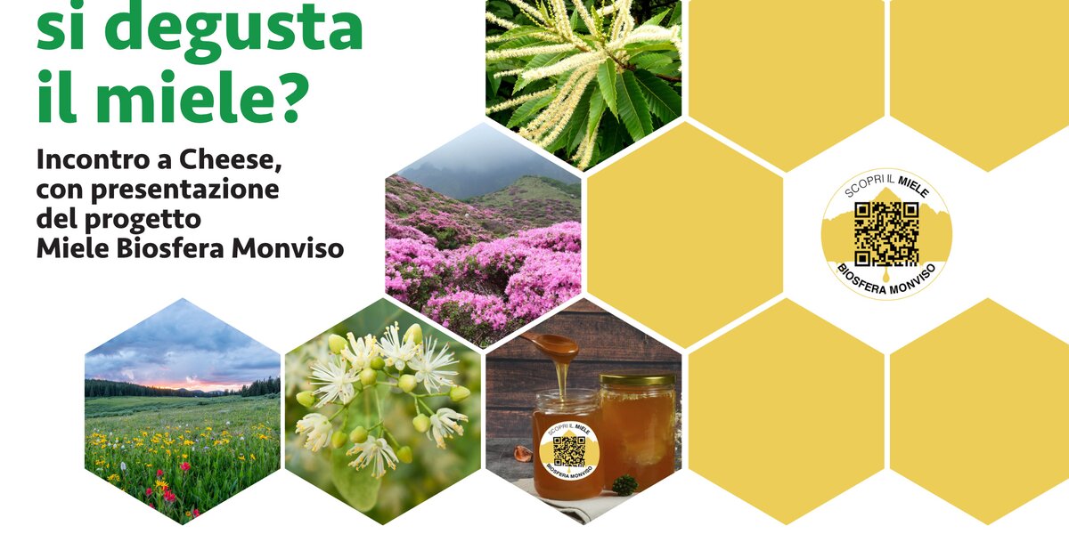 Locandina promozionale dal titolo in grande, verde: “Come si degusta il miele?”. Sotto, in nero: “Incontro a Cheese, con presentazione del progetto Miele Biosfera Monviso”. Sulla destra c’è una composizione a nido d’ape fatta di esagoni gialli e fotografie: fiori e piante in fiore (castagno, rododendro, tiglio, prato di montagna, campo fiorito), e un vasetto di miele con cucchiaio colmo. In uno degli esagoni gialli c’è un QR code con la scritta “Scopri il miele Biosfera Monviso”. In basso sono riportati i loghi degli enti promotori: Fondazione CRC, Associazione Produttori Miele Piemonte, Polo AgriFood, Monviso Biosphere, Regione Piemonte e Parco del Monviso.