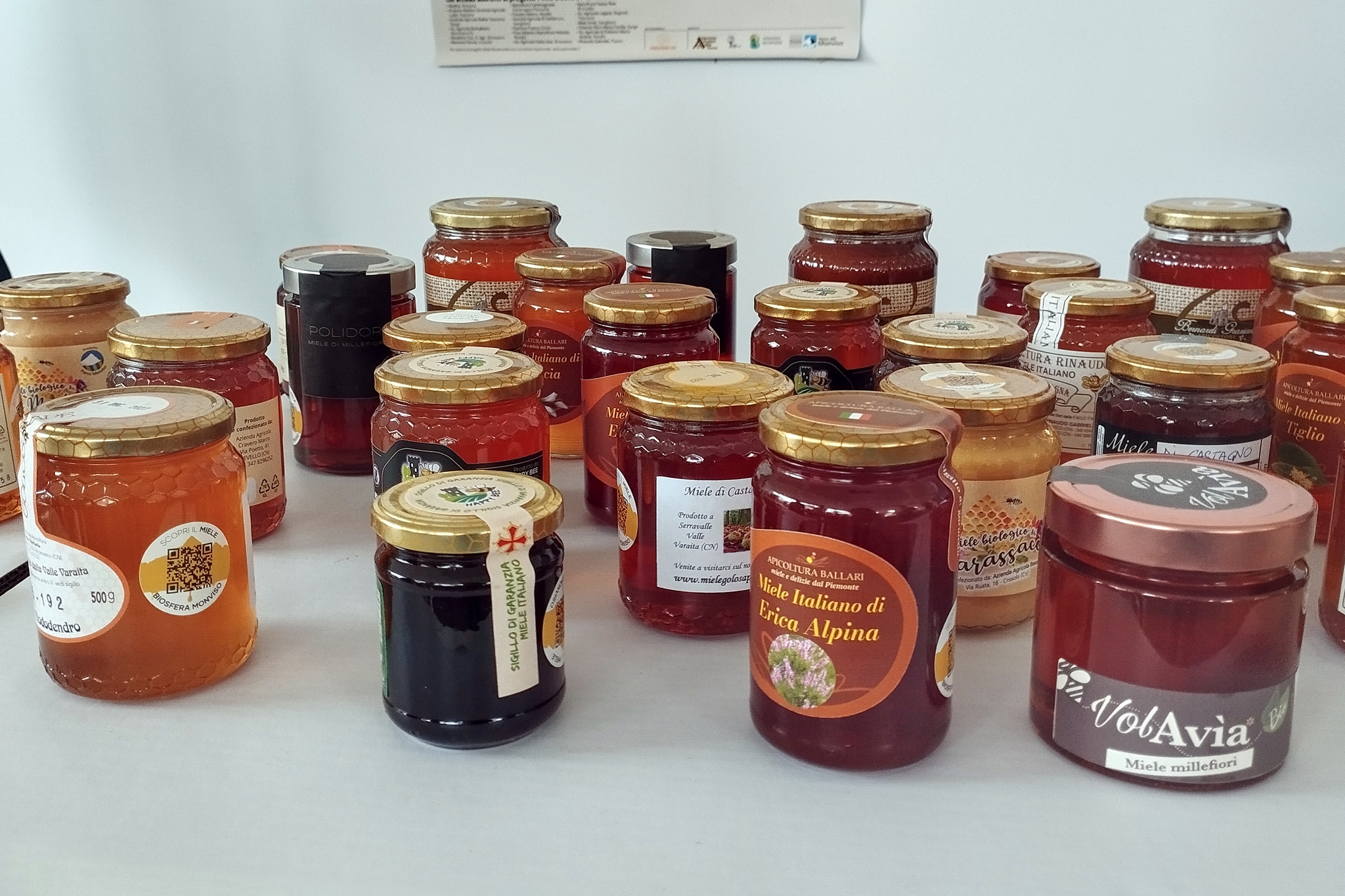 Una collezione di circa venti vasetti di miele di diverse varietà è disposta su una superficie bianca. I vasetti hanno forme e dimensioni variabili, con coperchi principalmente dorati e alcuni neri. Le etichette mostrano diverse tipologie di miele. I colori del miele variano dal dorato chiaro all'ambra scuro, fino al nero intenso (probabilmente melata). Alcuni vasetti presentano l'etichetta circolare della Biosfera Monviso con codice QR, mentre altri hanno etichette tradizionali con decorazioni floreali o montane. Sullo sfondo si intravede parzialmente un pannello informativo appeso alla parete bianca. La varietà di colori e etichette testimonia la diversità delle produzioni apistiche locali presentate durante l'evento