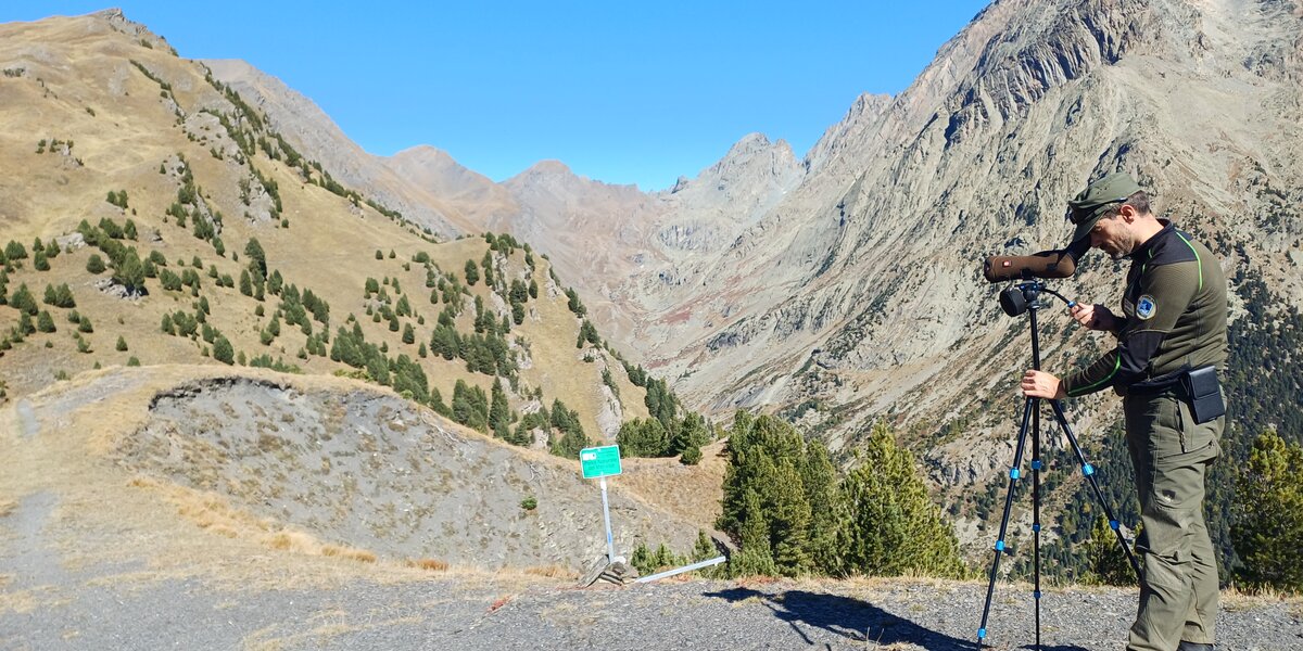 Un uomo in uniforme da guardiaparco osserva il paesaggio montano attraverso un cannocchiale montato su treppiede. Si trova su un sentiero ghiaioso in alta quota, circondato da pendii erbosi e alberi sparsi. Sullo sfondo si vedono montagne rocciose e un cielo limpido e azzurro.