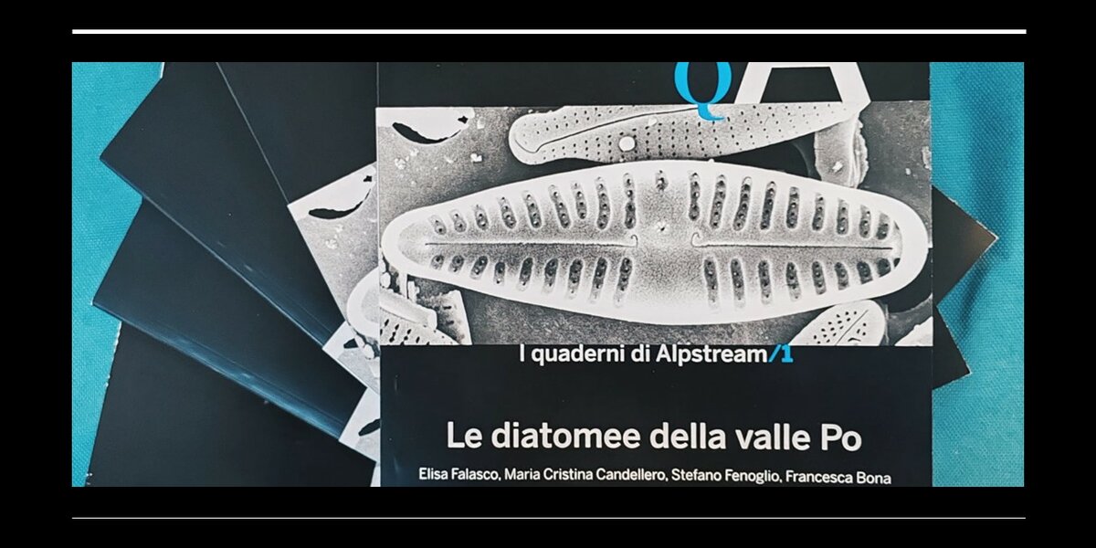 Copertina che riprende una porzione della copertina dell'atlante delle diatomee