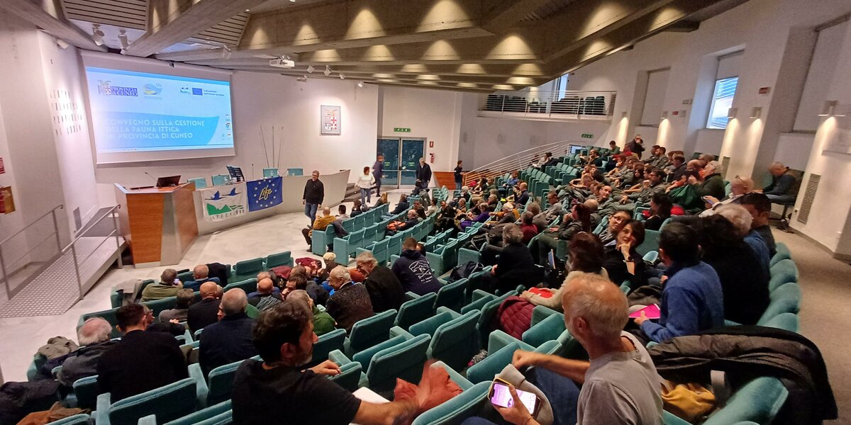 Un’ampia sala conferenze, il Centro Incontri della Provincia di Cuneo, con molte persone sedute su file di poltroncine blu, in attesa dell’inizio di un convegno. Sul palco, davanti a un grande schermo con la scritta “Convegno sulla gestione della fauna ittica in provincia di Cuneo”, alcune persone si muovono tra il tavolo dei relatori e le attrezzature. L’atmosfera è vivace e partecipata, con il pubblico che conversa e prende posto. La sala è luminosa, con soffitto alto e ampie scale laterali.