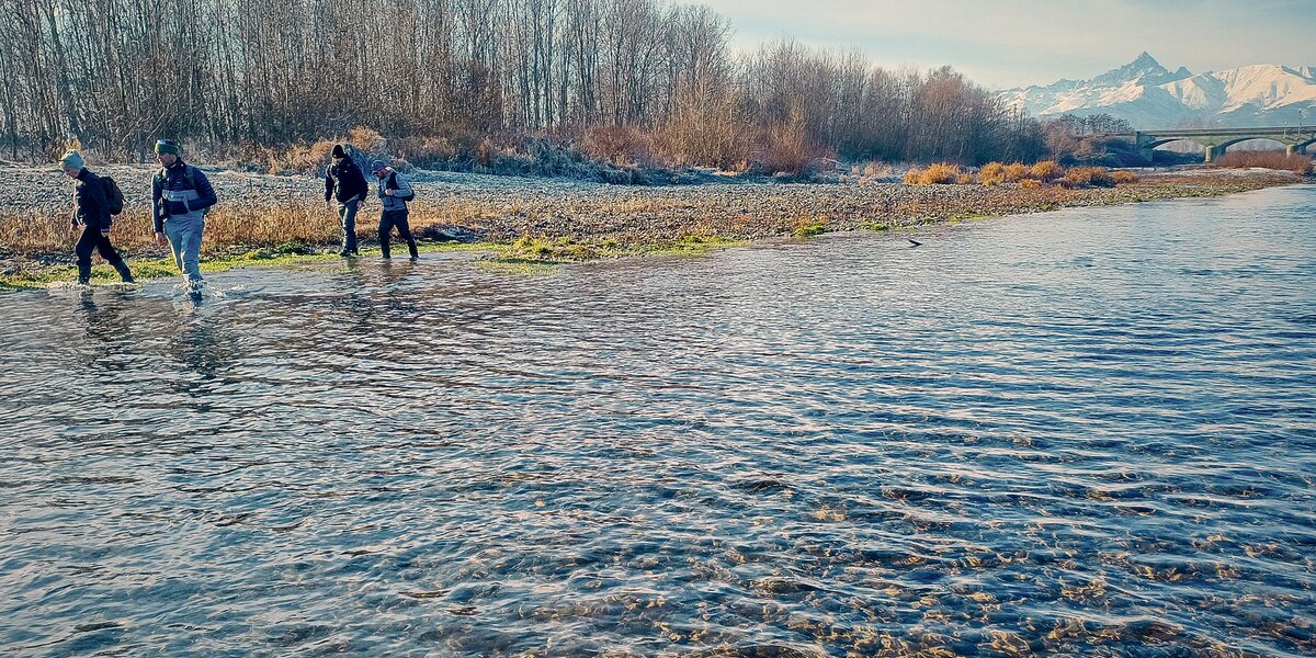 quattro persone in alveo fluviale mentre camminano intenti in attività di monitoraggio. sullo sfondo si vedono alberi tipici della zona fluviale, un alto a destra in lontananza un ponte sul torrente Pellice e il Monviso