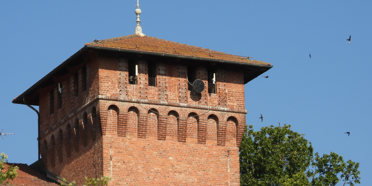 la torre del castello di Casalgrasso: si vedono bene i fori che sono stati riconosciuti come passeraie.