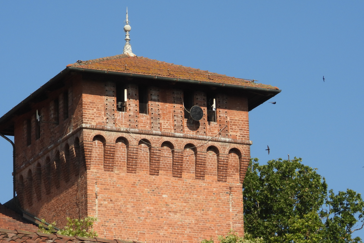la torre del castello di Casalgrasso: si vedono bene i fori che sono stati riconosciuti come passeraie.