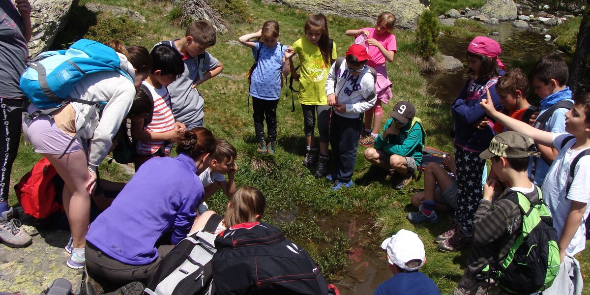 Un gruppo numeroso di bambini, accompagnati da alcuni adulti, è raccolto in cerchio attorno a una piccola pozza d’acqua in un prato di montagna. I bambini, con zaini e abbigliamento da escursione, osservano con attenzione ciò che si trova nell’acqua, alcuni chinandosi o accovacciandosi. L’ambiente è naturale, con erba, rocce e un piccolo corso d’acqua sullo sfondo, in una giornata soleggiata.