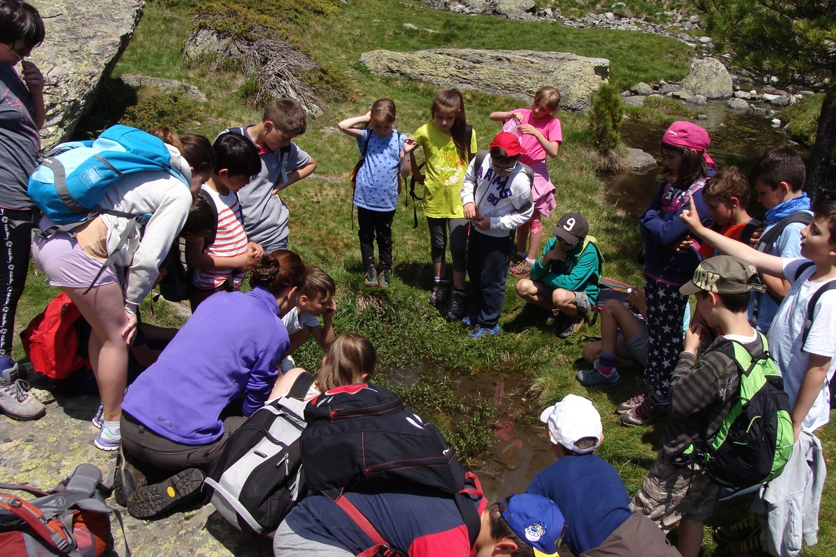 Un gruppo numeroso di bambini, accompagnati da alcuni adulti, è raccolto in cerchio attorno a una piccola pozza d’acqua in un prato di montagna. I bambini, con zaini e abbigliamento da escursione, osservano con attenzione ciò che si trova nell’acqua, alcuni chinandosi o accovacciandosi. L’ambiente è naturale, con erba, rocce e un piccolo corso d’acqua sullo sfondo, in una giornata soleggiata.