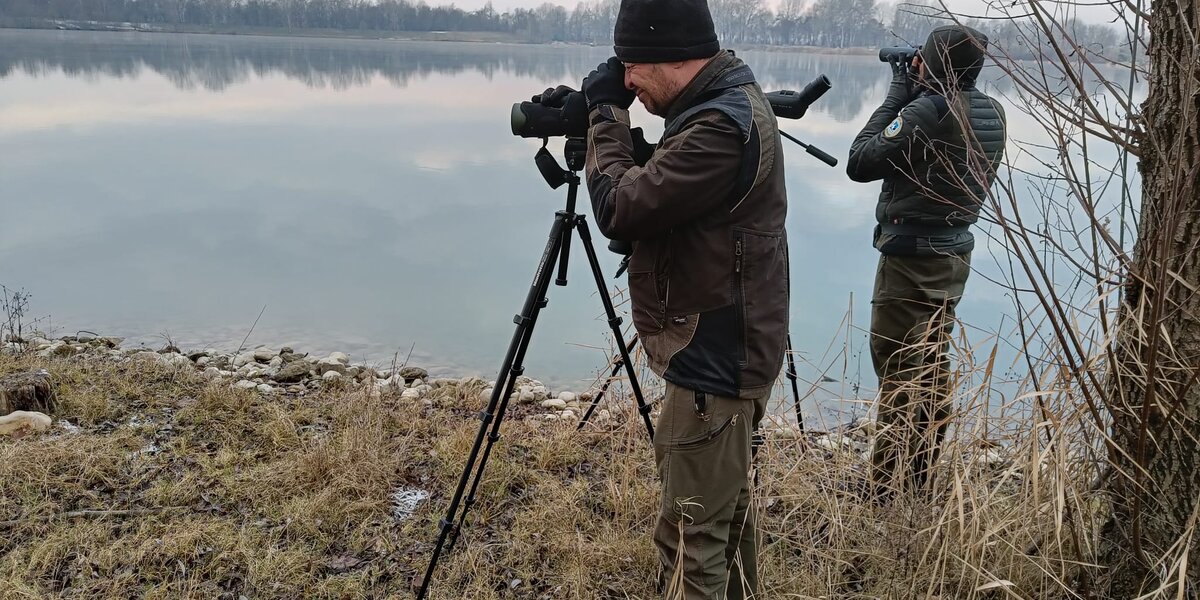 due guardiaparco sono impegnati in osservazioni al binocolo in una area lacustre.