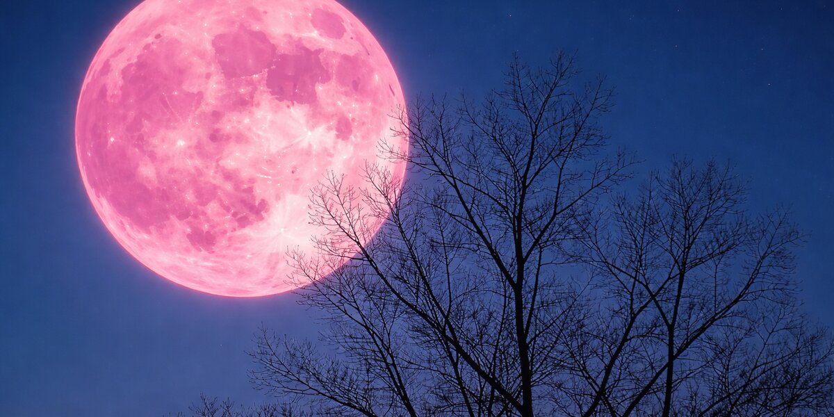 luna piena rosa su sfondo blu