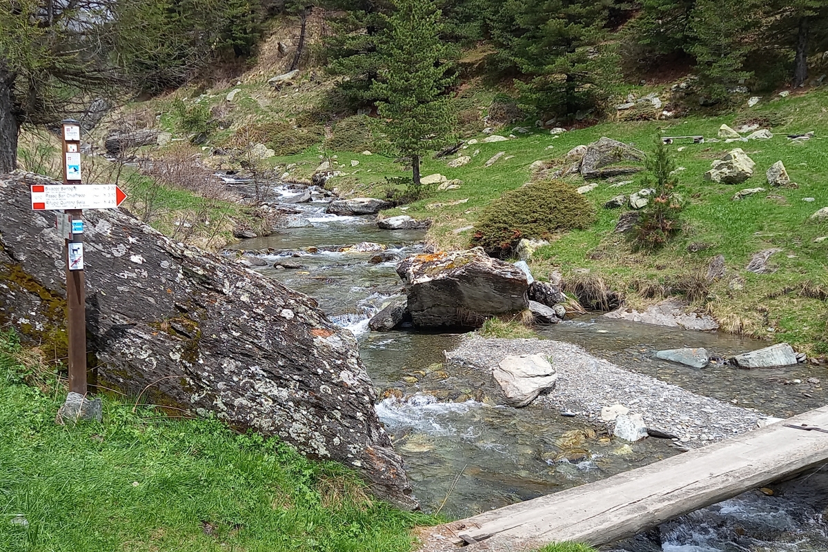 Sentiero di montagna che costeggia un piccolo torrente in una valle alpina. In primo piano si vedono un ponte in legno e un grande masso accanto a un palo con segnaletica escursionistica bianca e rossa. Il torrente scorre tra rocce e prati verdi, mentre sullo sfondo si estendono pendii erbosi punteggiati di conifere e massi sparsi. Atmosfera tranquilla e naturale.