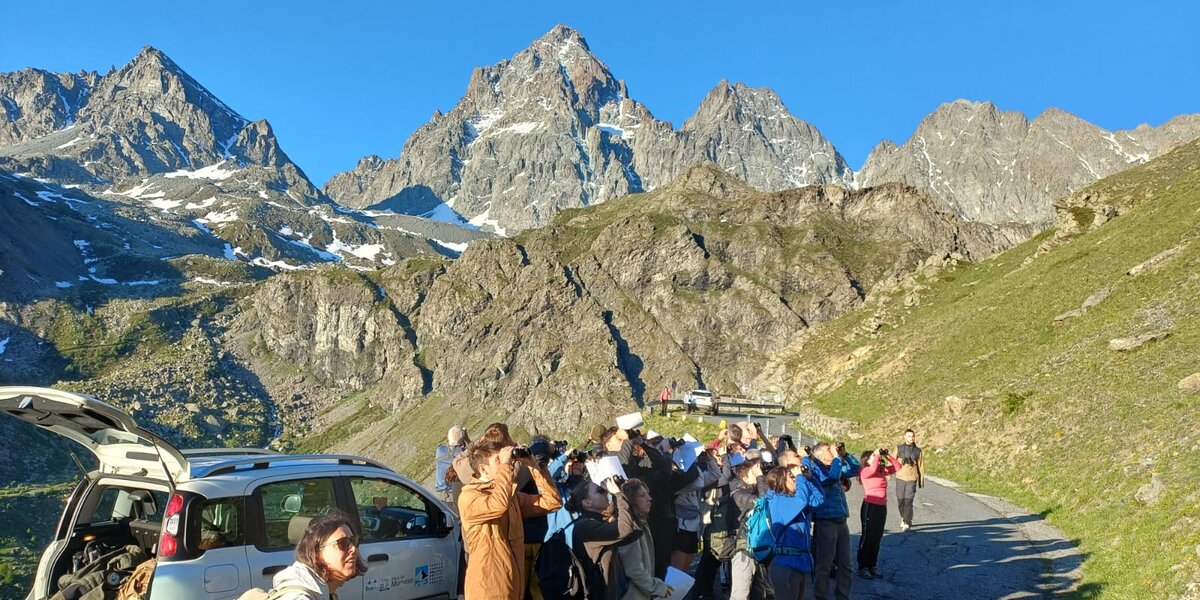 Gruppo di persone riunite lungo una strada di montagna osserva il cielo con binocoli e fogli per appunti durante un’attività sul campo. Accanto al gruppo è parcheggiato un veicolo dell’Ente di Gestione delle Aree Protette del Monviso con il portellone aperto. Sullo sfondo si innalzano imponenti cime rocciose alpine, tra cui il Monviso, con residue chiazze di neve, illuminate dalla luce radente del mattino sotto un cielo terso e completamente azzurro. L’ambiente è quello dell’alta montagna, con pendii erbosi e pareti rocciose che dominano il paesaggio.