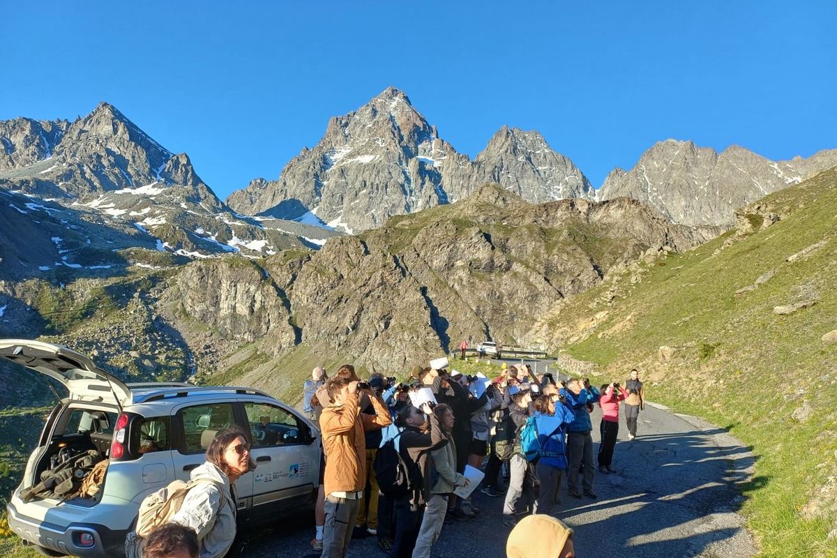 Gruppo di persone riunite lungo una strada di montagna osserva il cielo con binocoli e fogli per appunti durante un’attività sul campo. Accanto al gruppo è parcheggiato un veicolo dell’Ente di Gestione delle Aree Protette del Monviso con il portellone aperto. Sullo sfondo si innalzano imponenti cime rocciose alpine, tra cui il Monviso, con residue chiazze di neve, illuminate dalla luce radente del mattino sotto un cielo terso e completamente azzurro. L’ambiente è quello dell’alta montagna, con pendii erbosi e pareti rocciose che dominano il paesaggio.