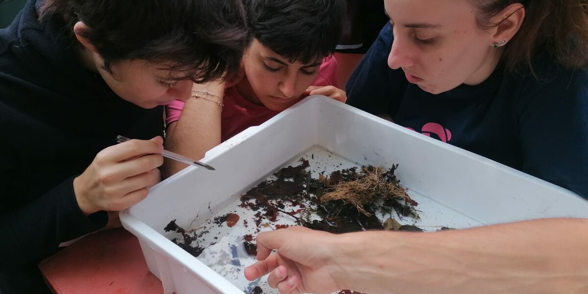 Tre ragazzi osservano da vicino campioni d'acqua, foglie e radici all'interno di una vaschetta bianca sul tavolo.