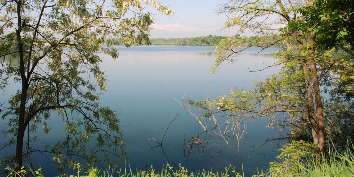 Il lago di cava Fontane con in primo piano la riva erbosa e ai lati alberi in fiore