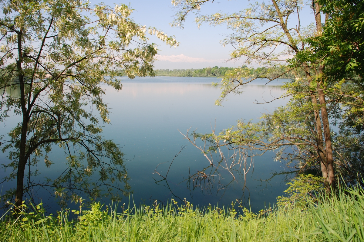 Il lago di cava Fontane con in primo piano la riva erbosa e ai lati alberi in fiore