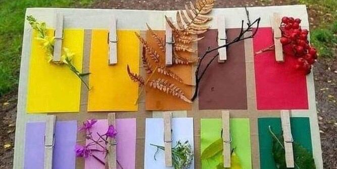 Fogli colorati con delle mollette con cui sono appesi elementi naturale dello stesso colore del foglio