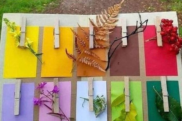Fogli colorati con delle mollette con cui sono appesi elementi naturale dello stesso colore del foglio