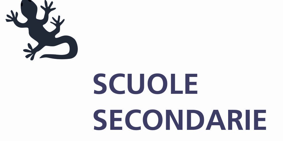 scritta scuole secondarie in grigio, in alto a sinistra disegno di salamandra