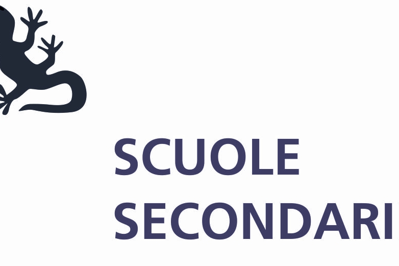 scritta scuole secondarie in grigio, in alto a sinistra disegno di salamandra