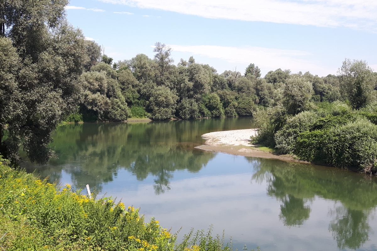 un tratto di fiume con acque calme e rigogliosa vegetazione ripariale che si riflette nell'acqua