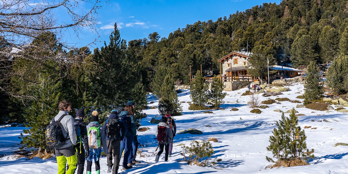 Un gruppo di escursionisti con zaini cammina in fila su un sentiero innevato diretto verso il rifugio Bagnour, immerso tra pini e sotto un cielo azzurro e limpido.