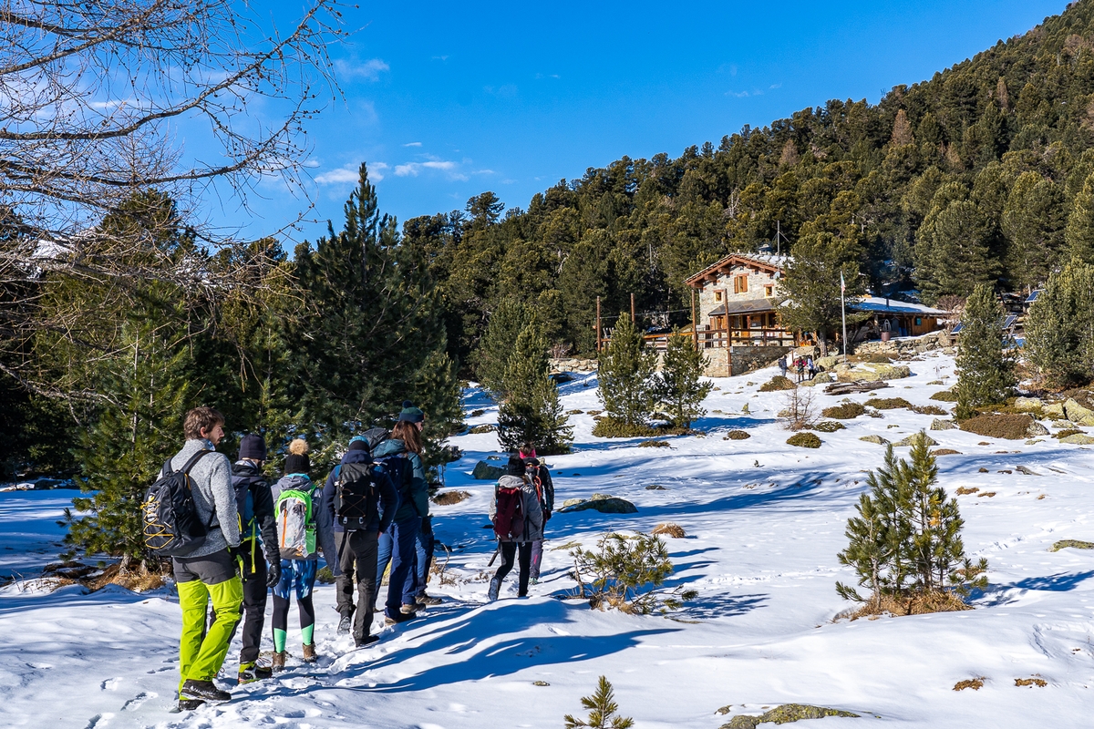 Un gruppo di escursionisti con zaini cammina in fila su un sentiero innevato diretto verso il rifugio Bagnour, immerso tra pini e sotto un cielo azzurro e limpido.