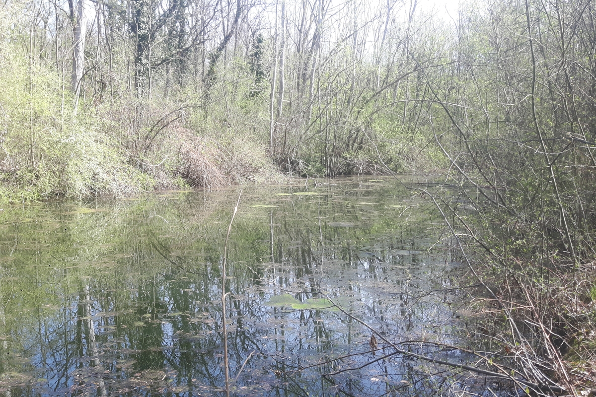 Immagine con descrizione mancante