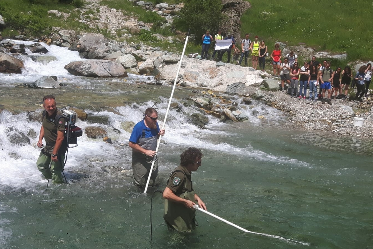 Tre ricercatori con alti stivali di gomma sono in mezzo a un corso d'acqua; quello a sinistra trasporta l'elettrostorditore, mentre gli altri due hanno in mano un retino da pesca. sulla riva un gruppo di studenti li osserva