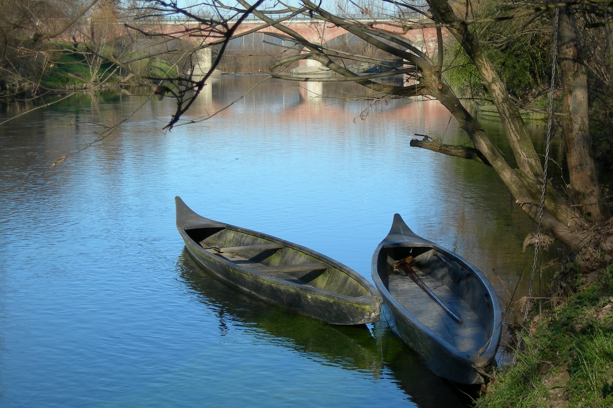 due barche a punta di legno ancorate nel fiume vicino alla riva sotto un albero. sullo sfondo si vede la struttura del ponte che collega Villafranca a Moretta