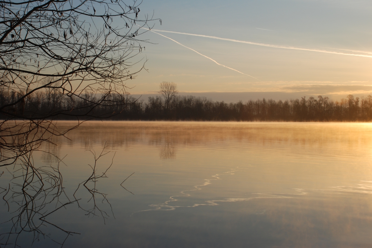 tramonto sul lago di cava di Fontane, sullo sfondo alberi sulla sponda, a sinistra nella foto entrano i rami di un albero che si specchiano nel lago