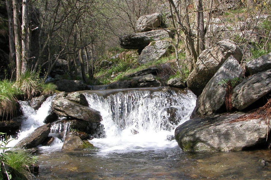 Un tratto torrentizio del Po in alta valle