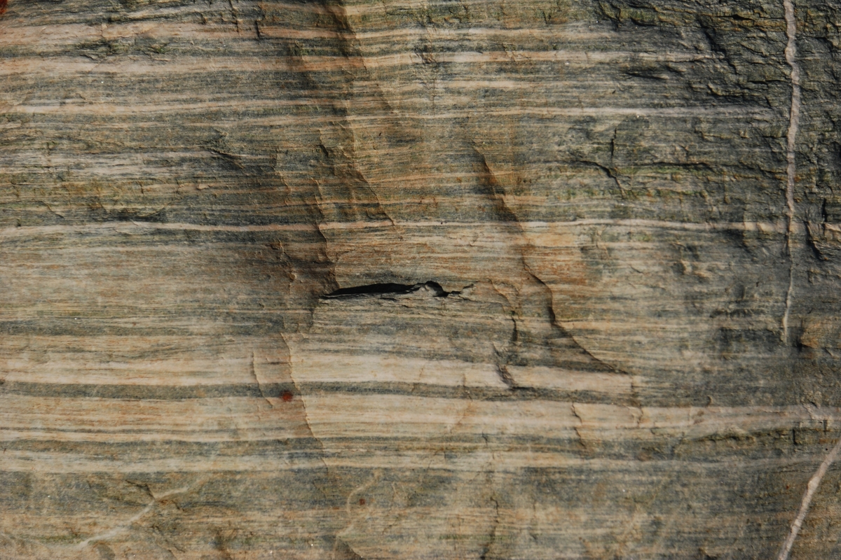 Immagine con descrizione mancante