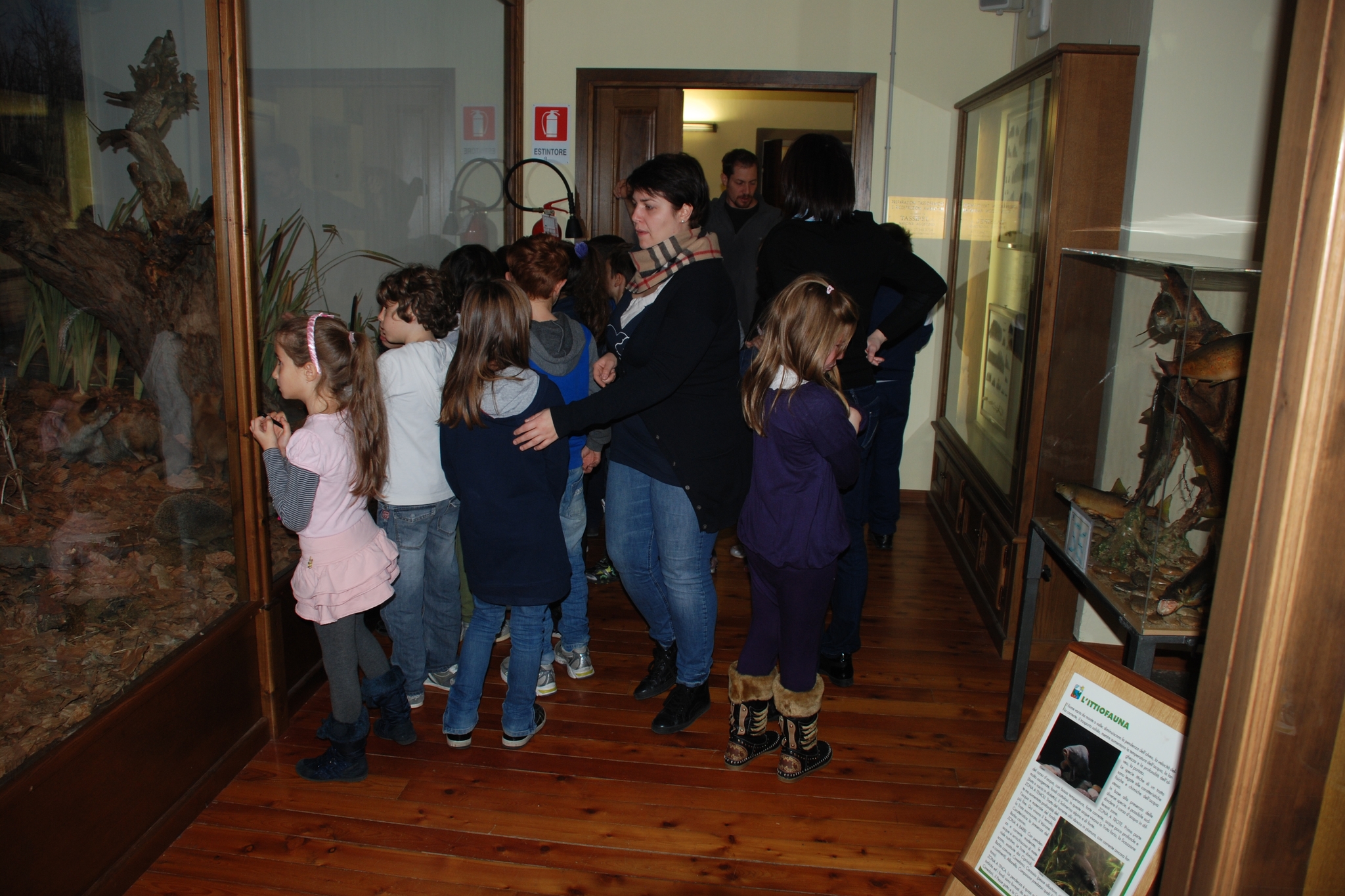 Immagine con descrizione mancante