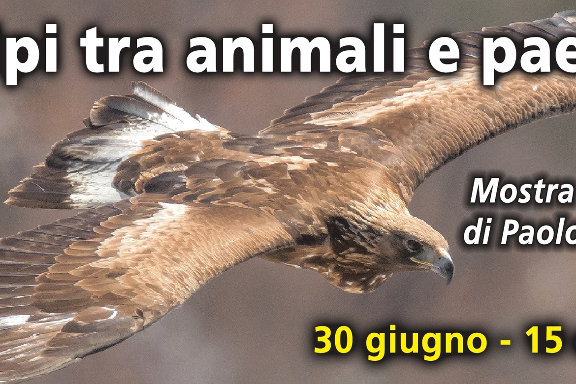Immagine con descrizione mancante