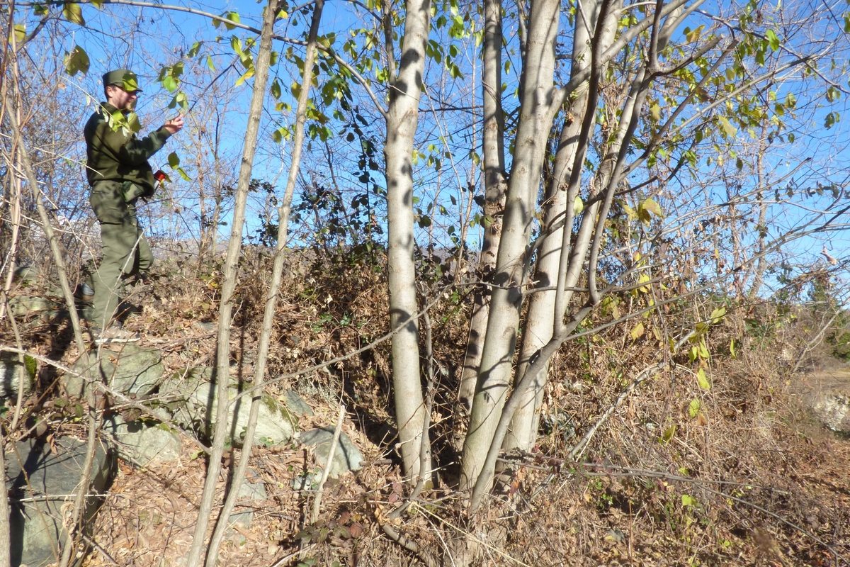 Immagine con descrizione mancante