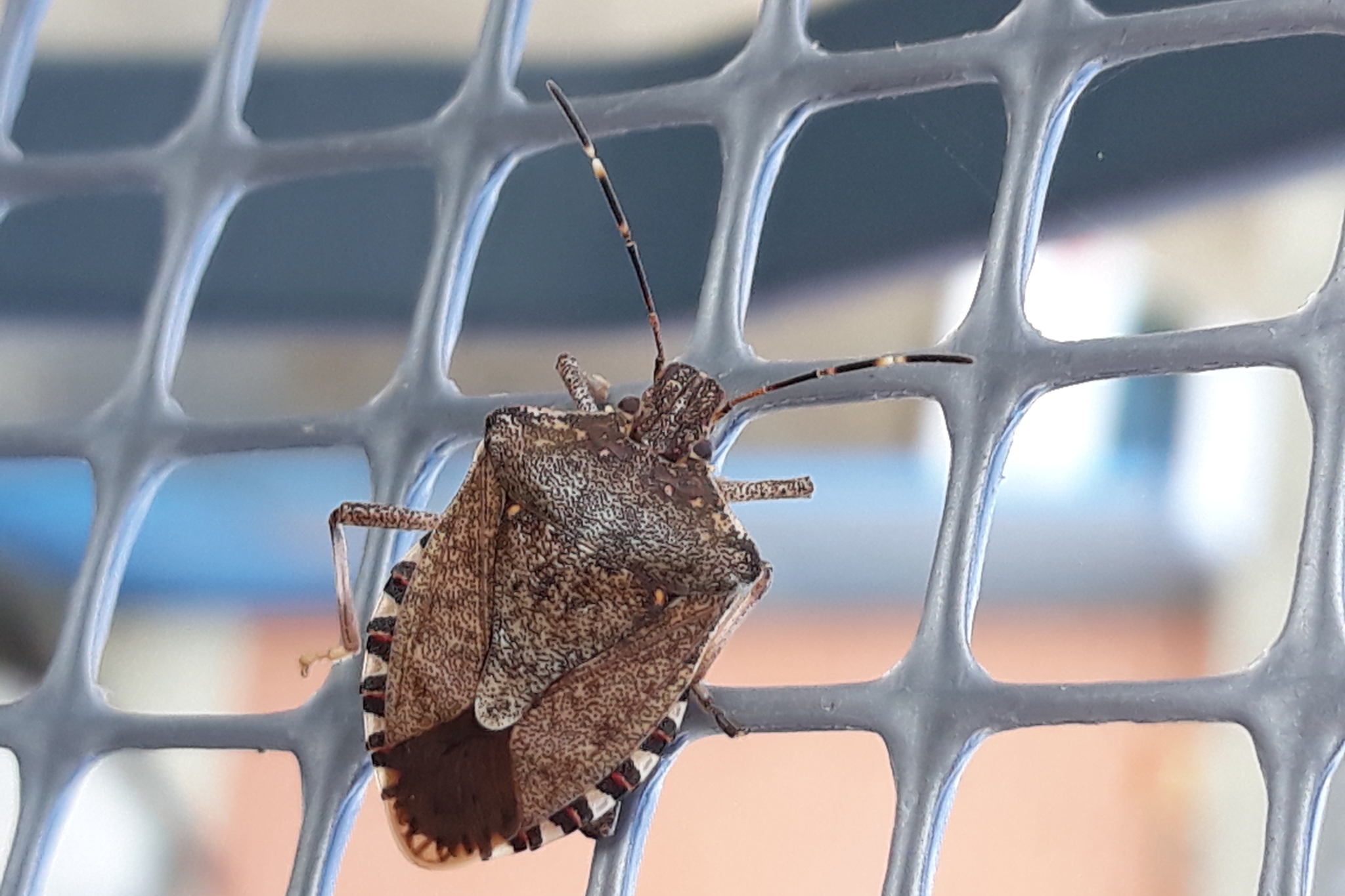 Immagine con descrizione mancante