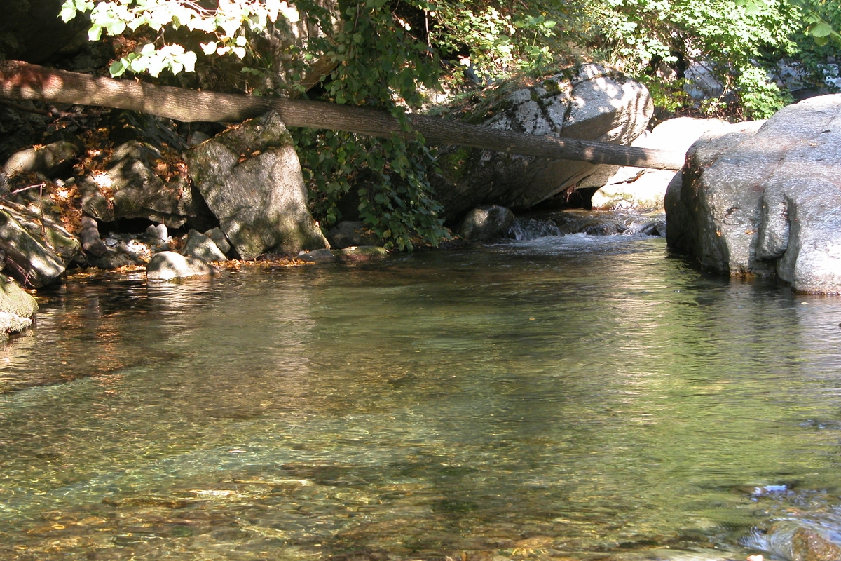 Immagine con descrizione mancante