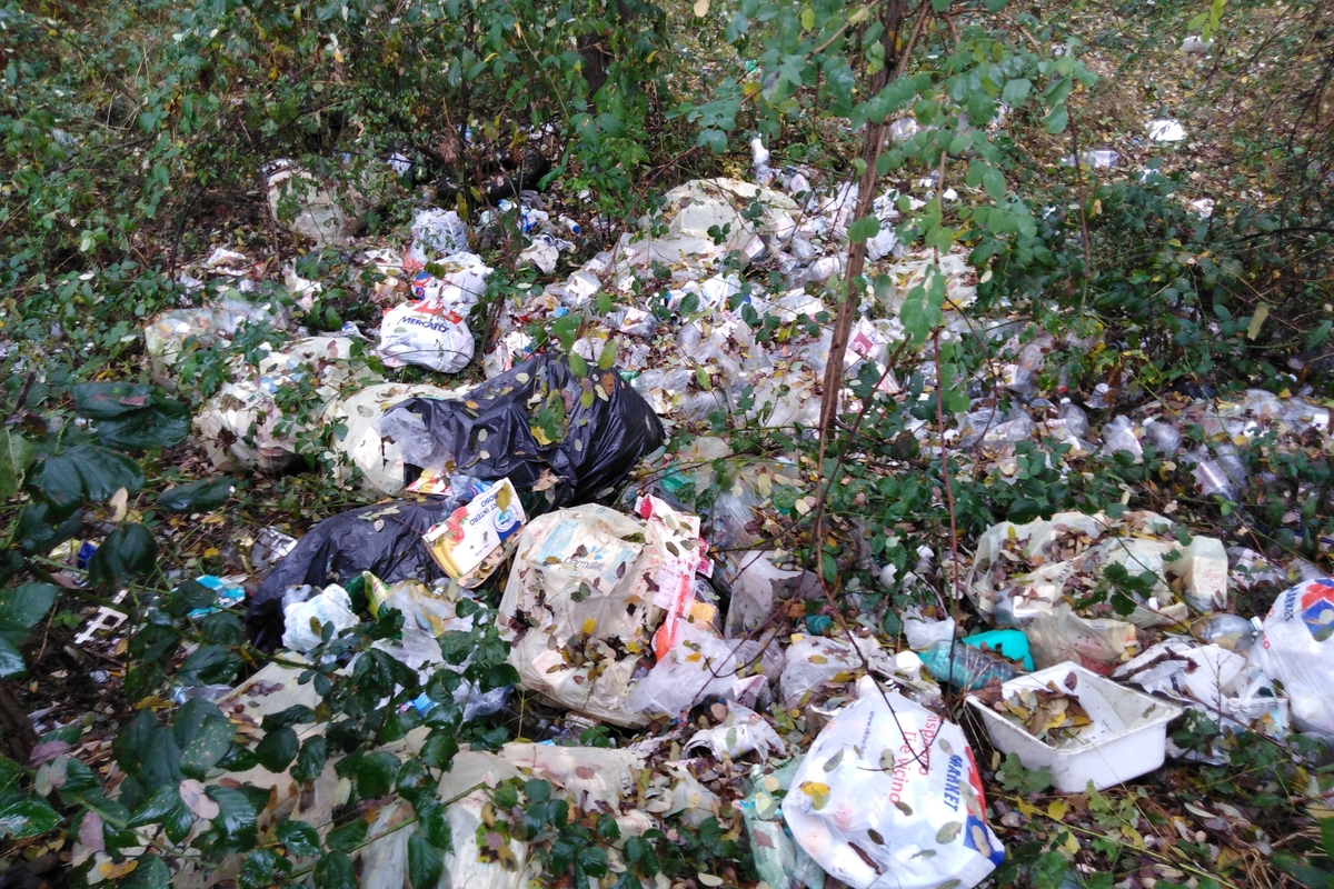 Immagine con descrizione mancante